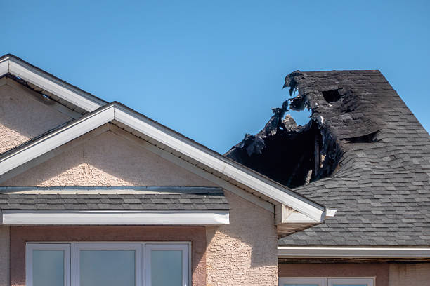 Top rated local Firefighting Water Removal specialists in Thornton, PA